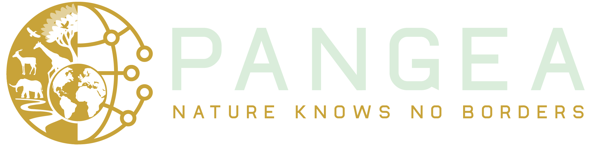 Pangea moto image dark